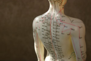 how does acupuncture work?