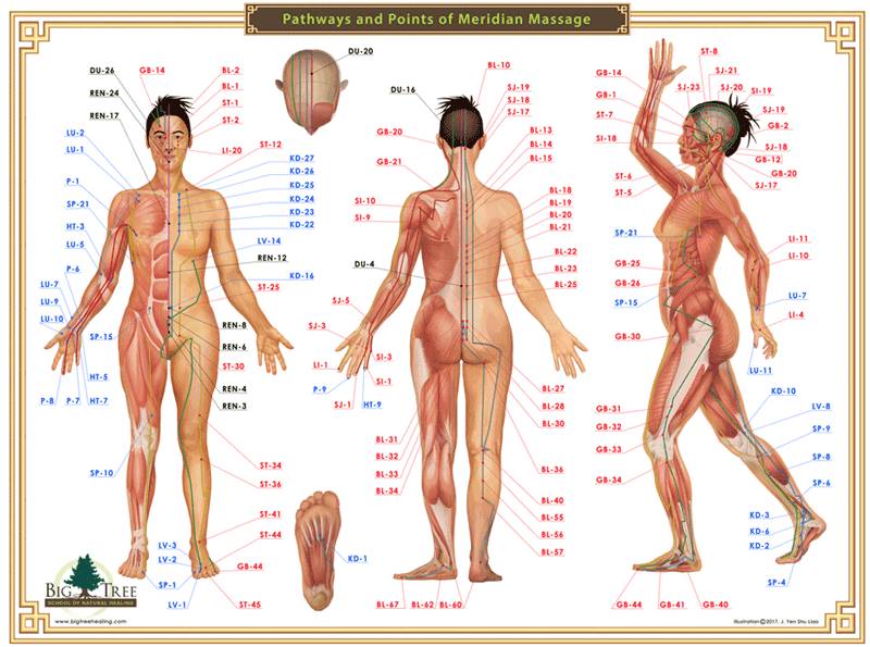 acupuncture-meridians-list-acupuncture-points