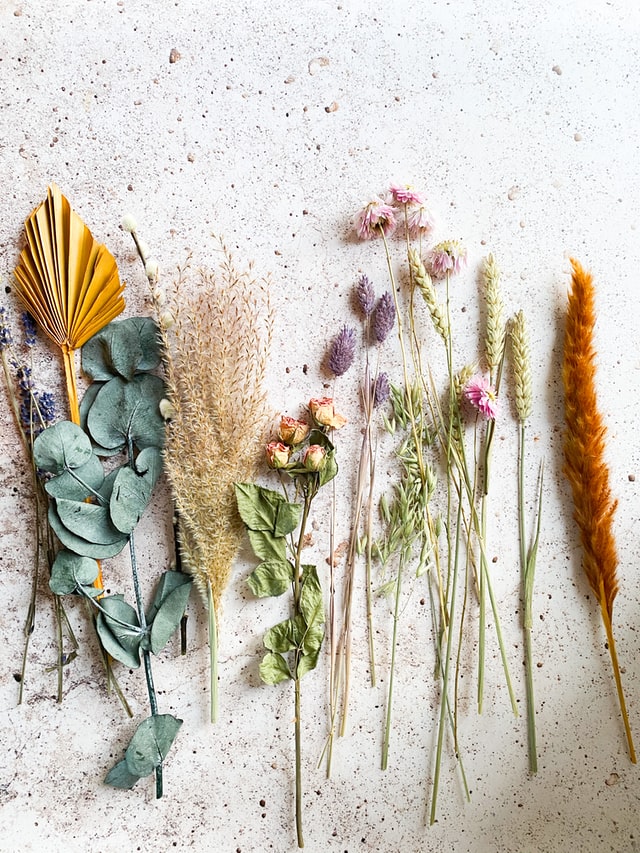 Acupuncture and Traditional Chinese Medicine: Dried flowers and herbs